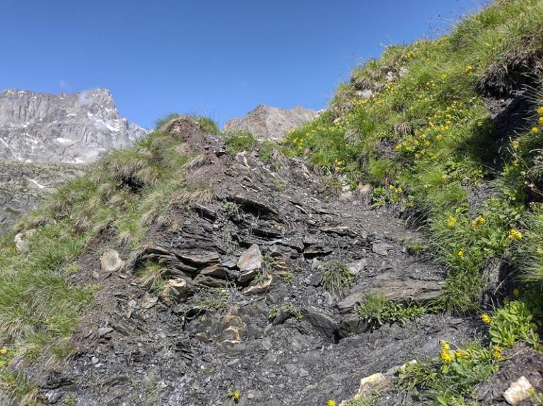 alta val ferret