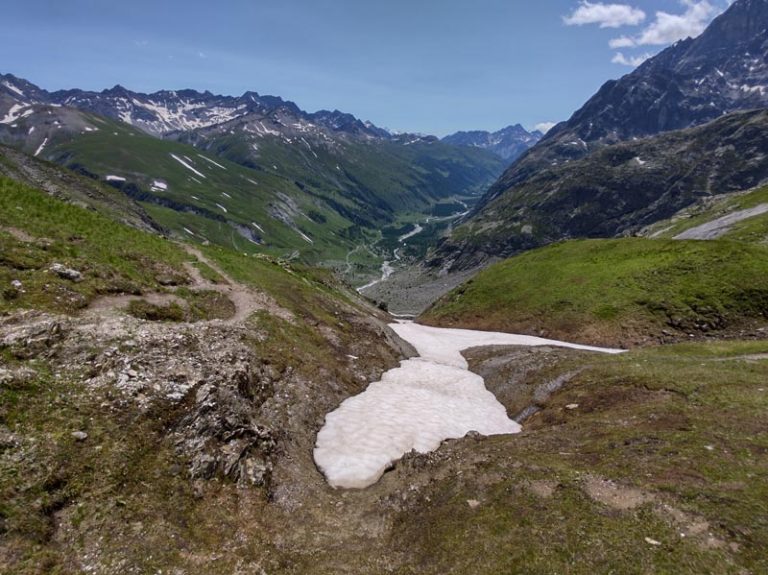 alta val ferret