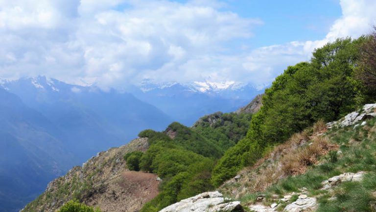 il gruppo del Monte Rosa