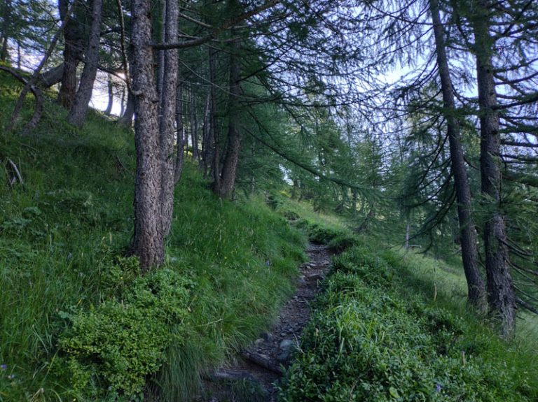 sentiero lago bianco