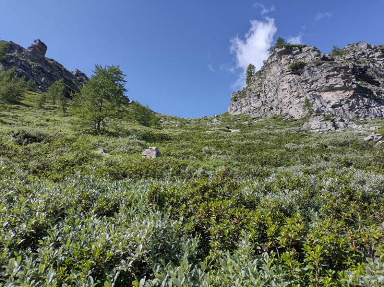 sentiero di salita lago d'avino