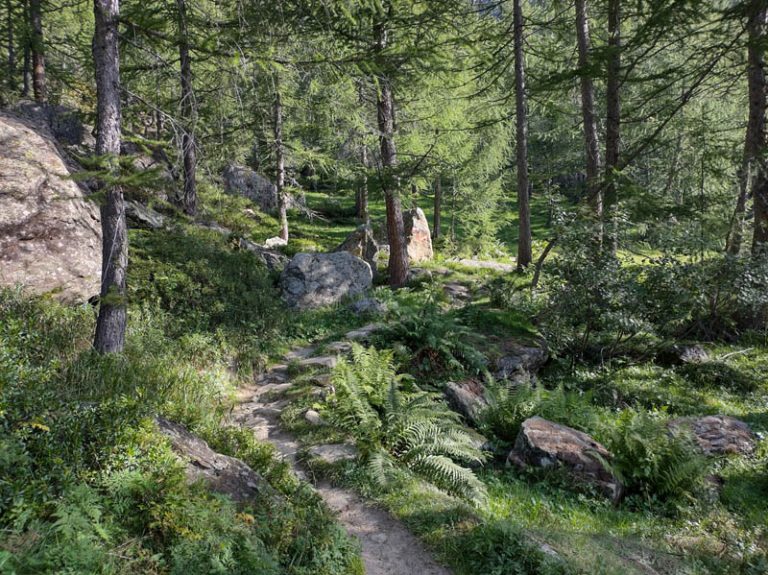 sentiero piani della rossa