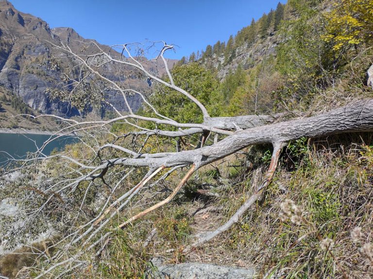 lago di agaro