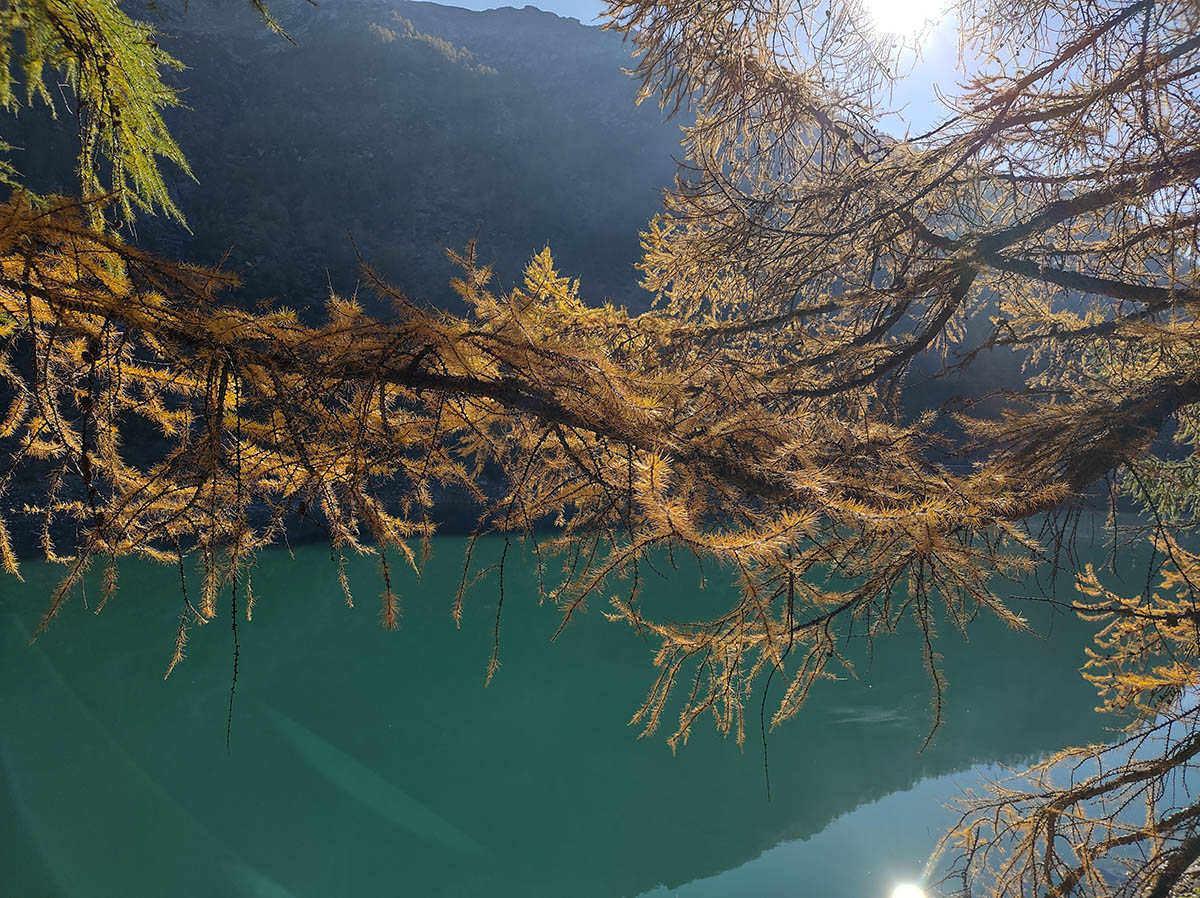 lago di agaro alpe devero