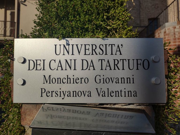 roddi università cani da tartufo