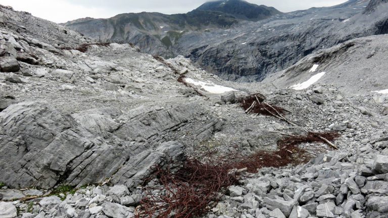 una serpentina di reticolati