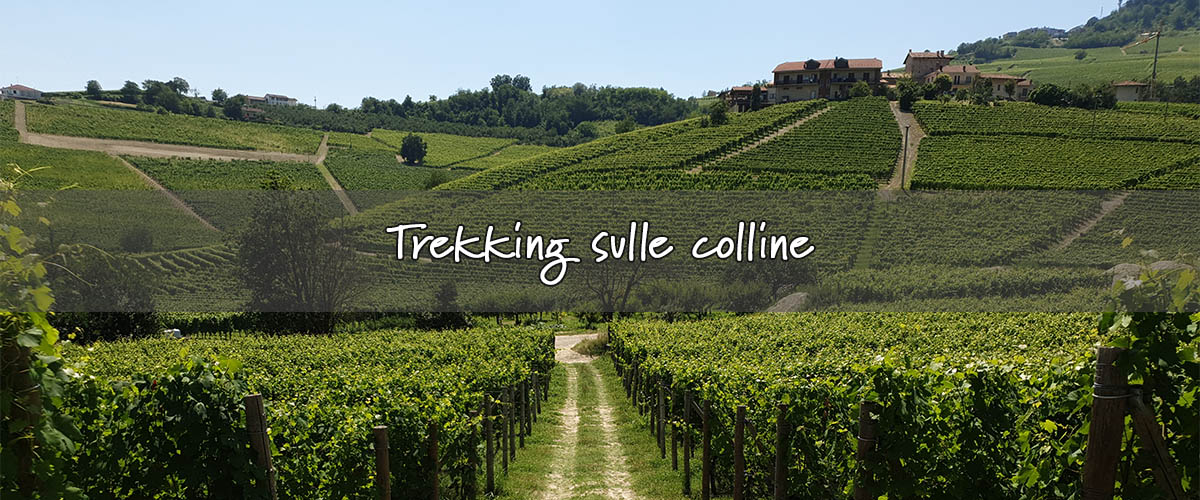 trekking sulle colline