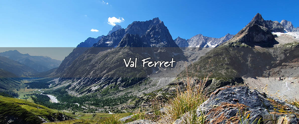 val ferret