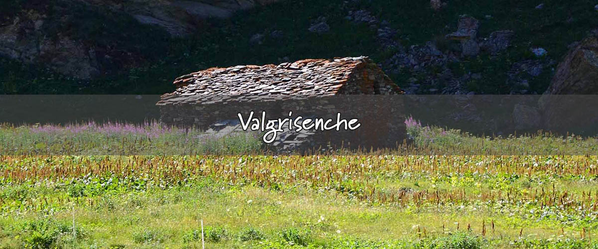 valgrisenche