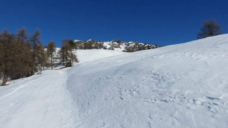 in neve fresca