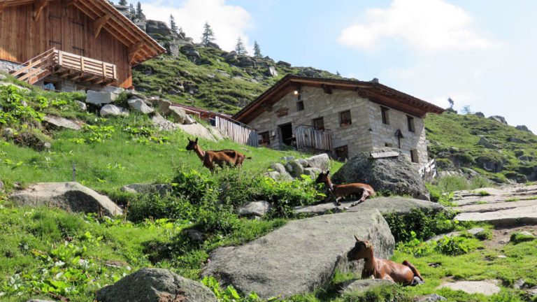 la Malga Tauern