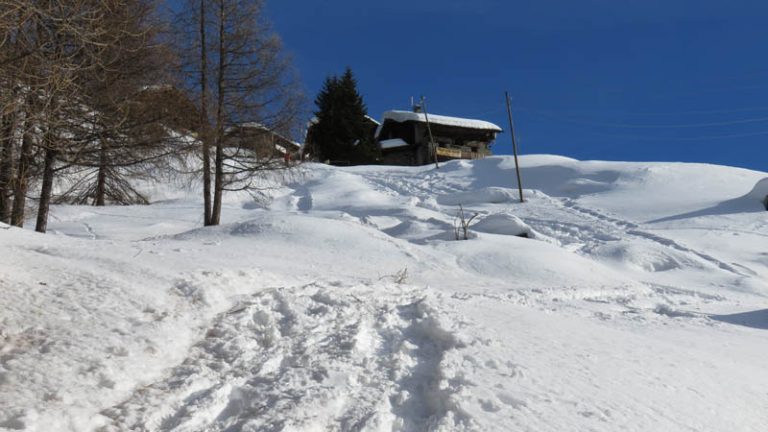 Rifugio Guide di Frachey