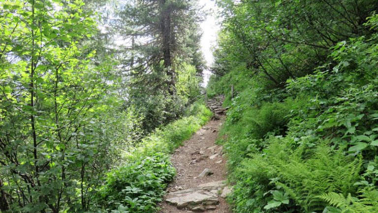 verso il rifugio roma