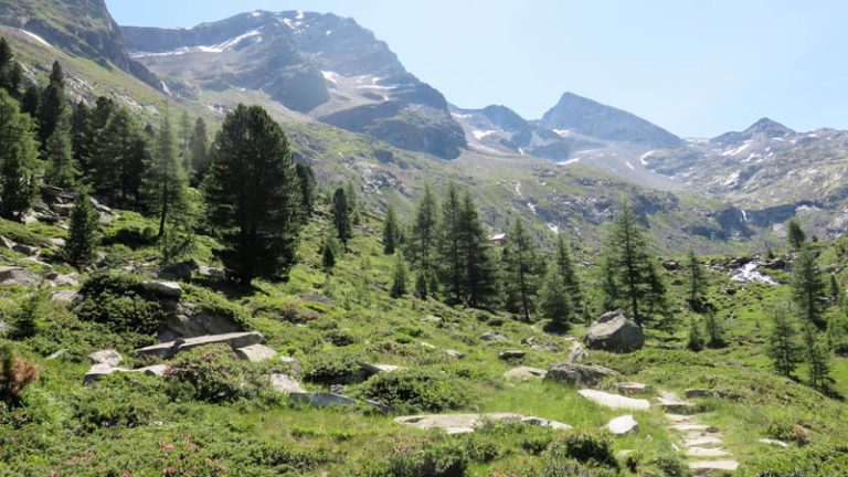 pianoro verso il rifugio vedrette di ries