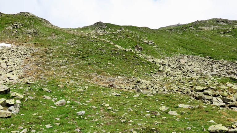 verso la cima dei camosci