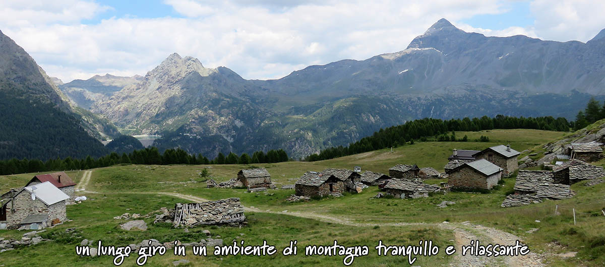 rifugi palu mitta motta