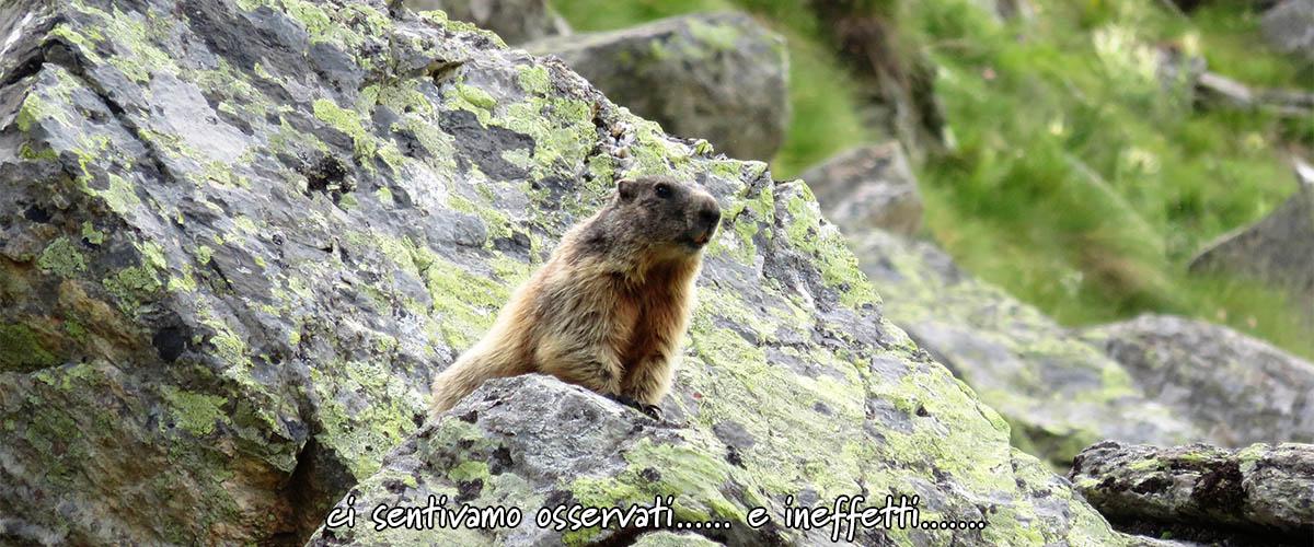 rifugio bignami bivacco anghileri