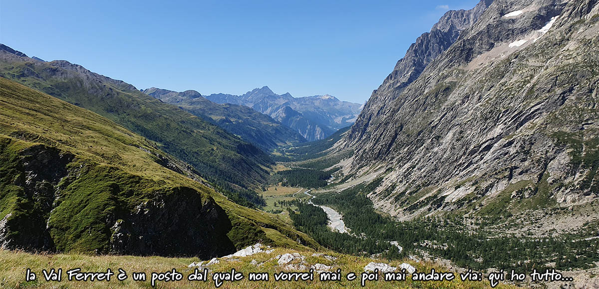 val ferret