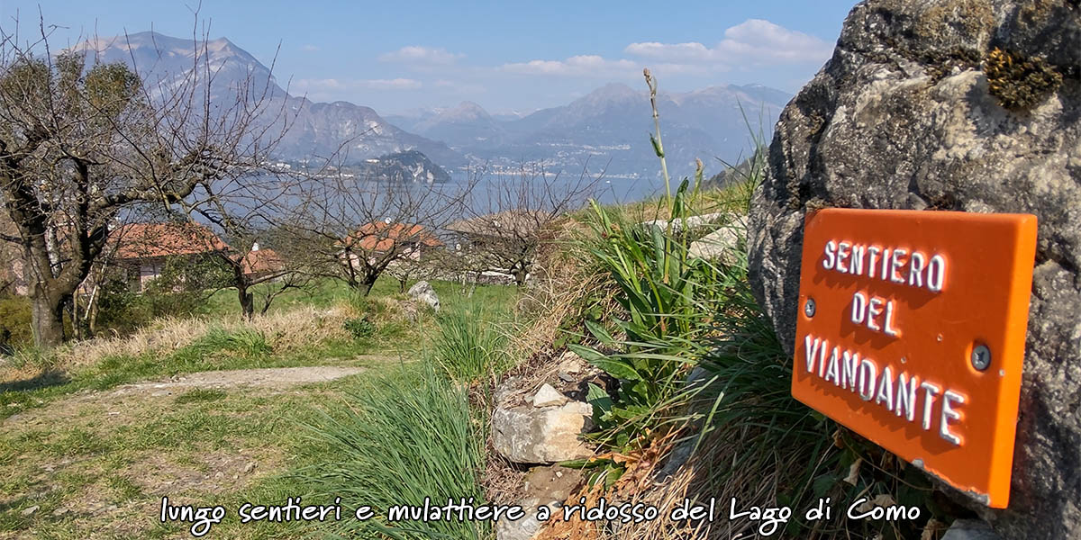 sentiero del viandante variante bassa lierna varenna