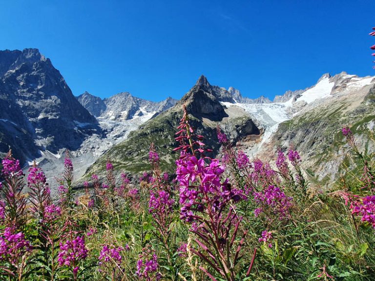 val ferret