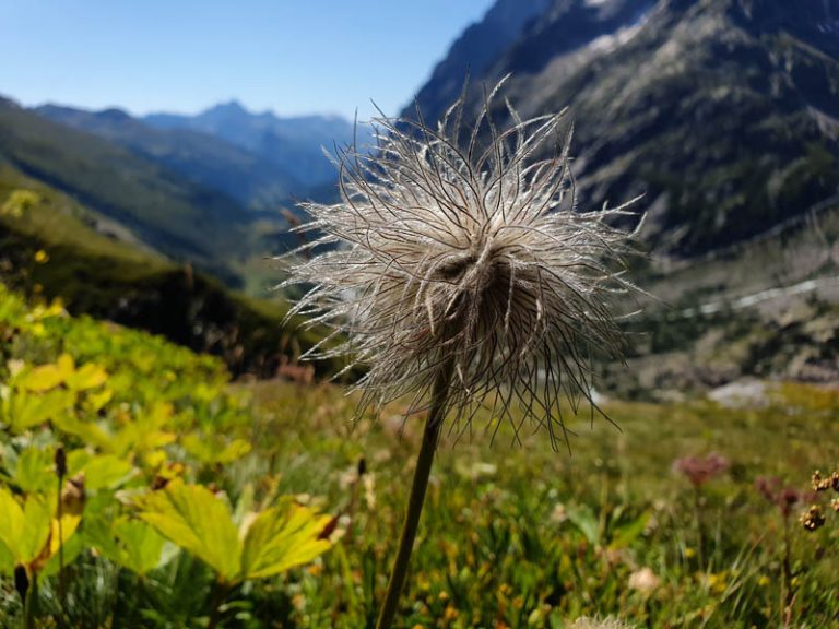 rifugio elena val ferret