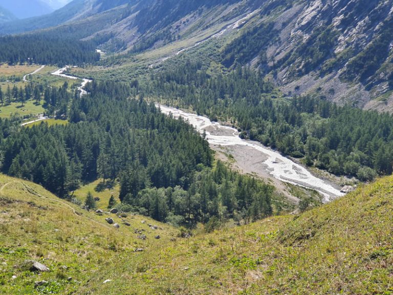 val ferret