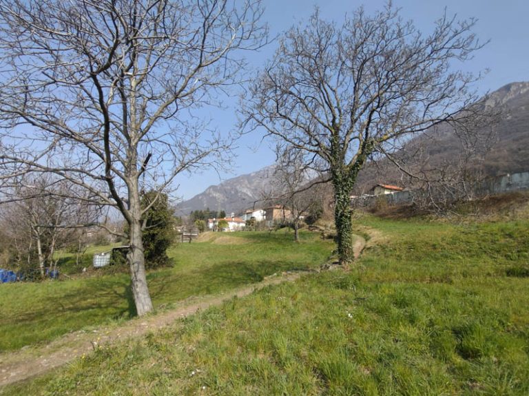 sentiero del viandante da abbadia lariana a lierna