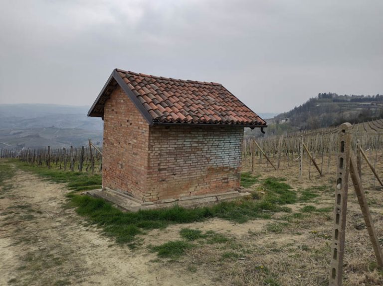 sentiero numero 2 madonna di loreto langhe la morra