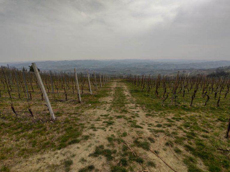 sentiero numero 2 madonna di loreto langhe la morra