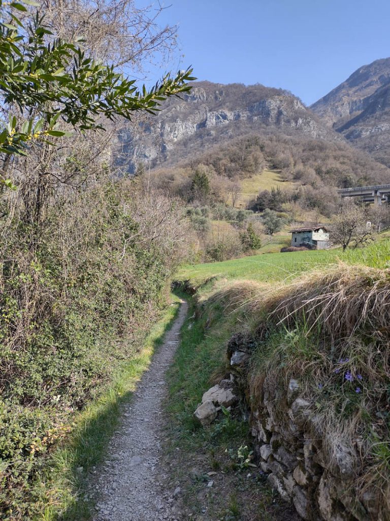 sentiero del viandante variante bassa lierna - varenna