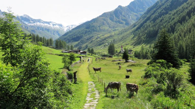 verso il rifugio giogo lungo