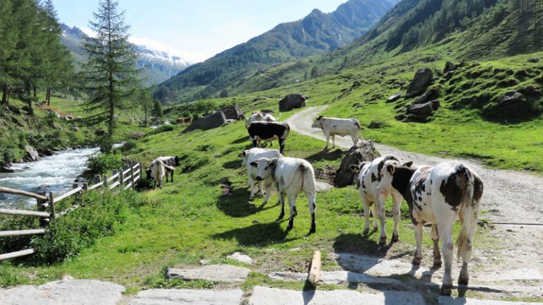 verso il rifugio giogo lungo