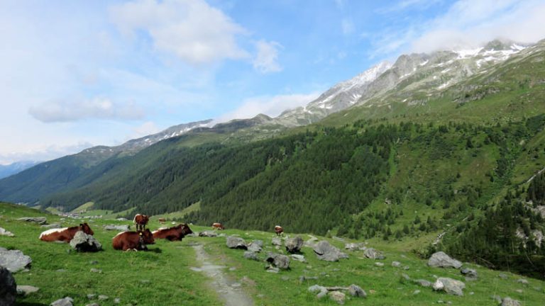 verso il rifugio giogo lungo