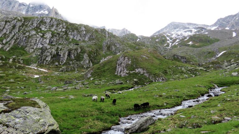 sentiero verso rifugio giogo lungo