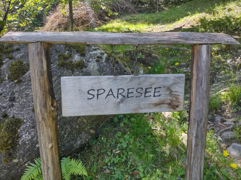 Sparesee