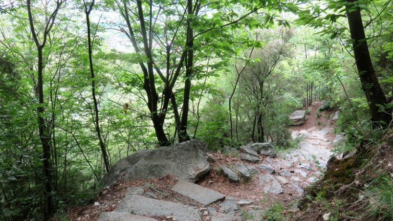 sentiero del tracciolino