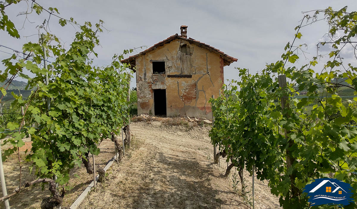 sentiero barolo - castiglione falletto - barolo