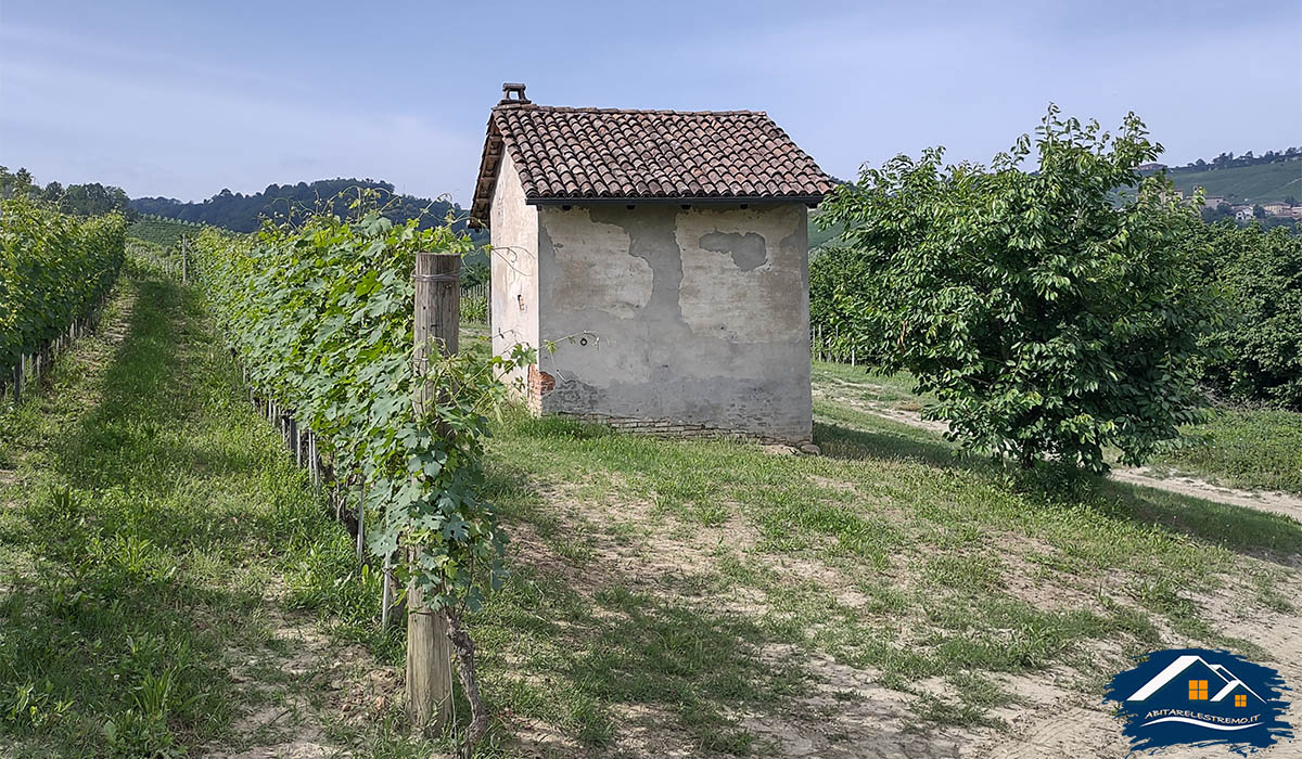 sentiero barolo - castiglione falletto - barolo