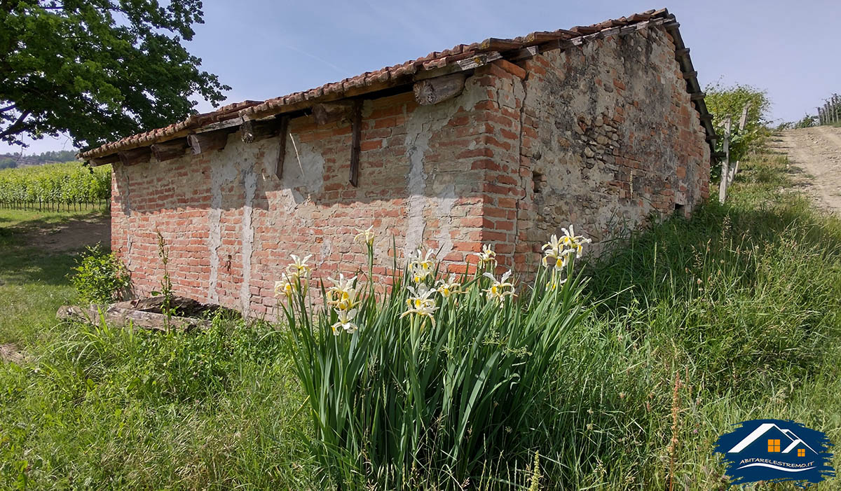 sentiero barolo - castiglione falletto - barolo