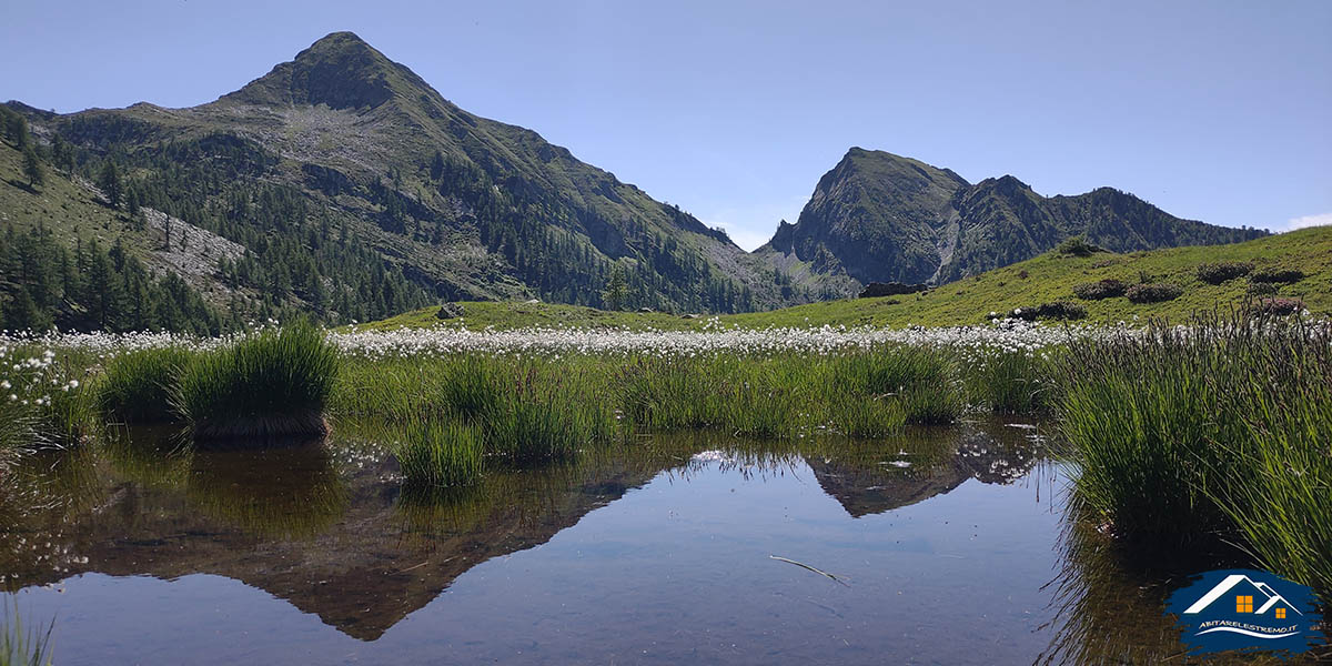 laghetto nei pressi dell'Alpe "I Motti"