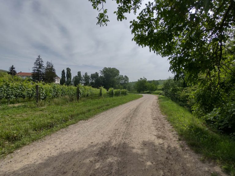 sentiero barolo - castiglione falletto - barolo