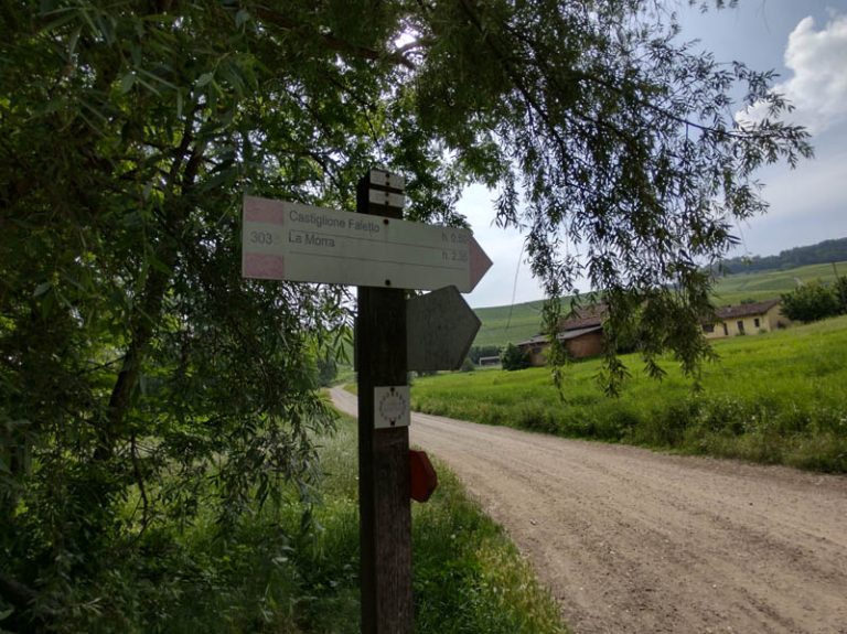 sentiero barolo - castiglione falletto - barolo