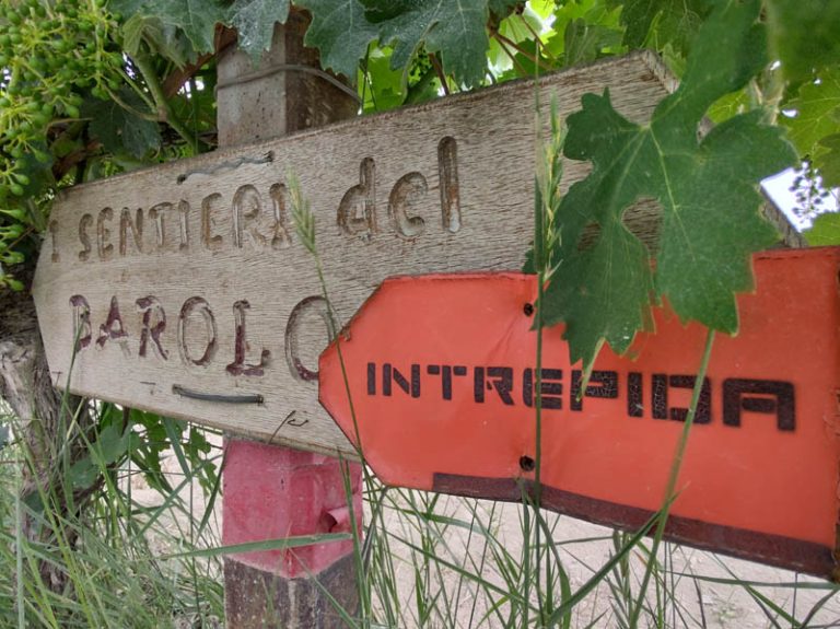 i sentieri del barolo