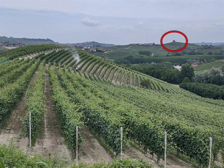 sentiero barolo - castiglione falletto - barolo