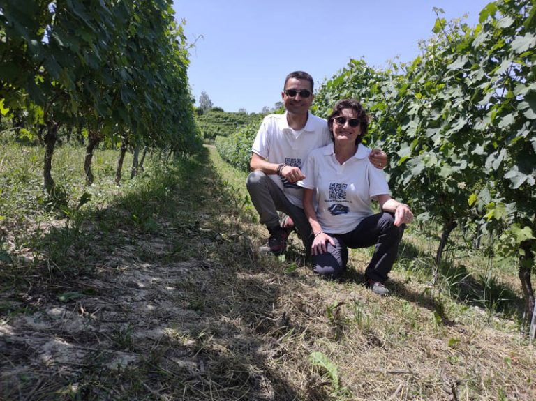 sentiero barolo - castiglione falletto - barolo