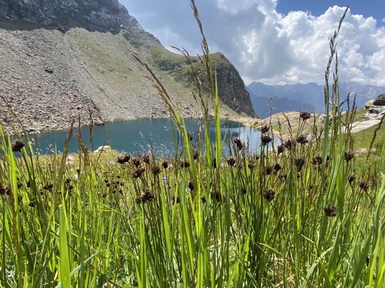 Lago Nero Alta Val Formazza