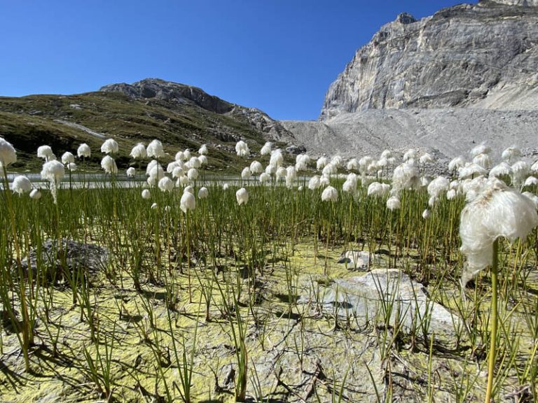 sentiero di salita lago tzanteleina