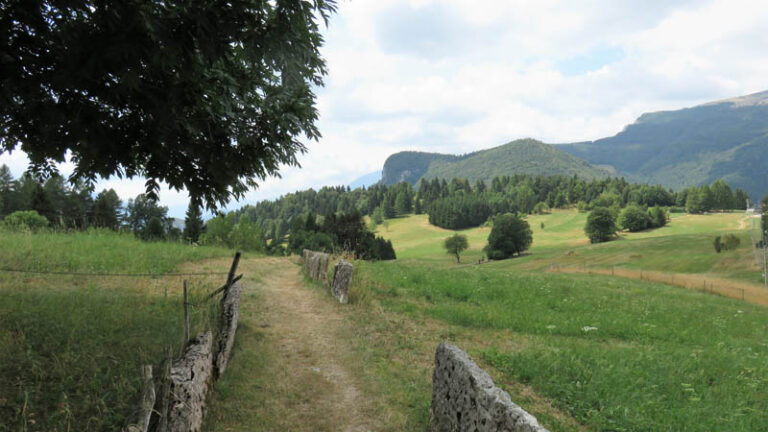 valle dei ciliegi