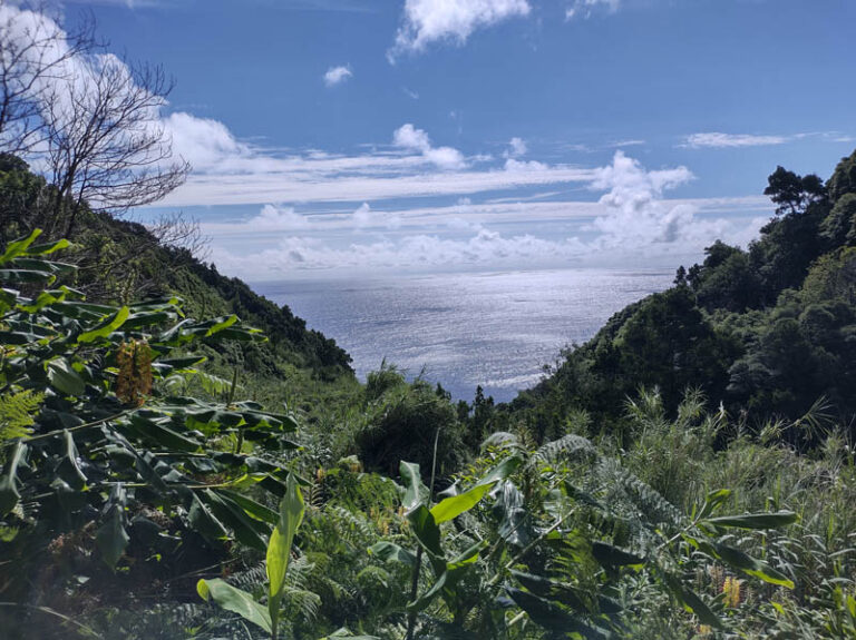 Caminho da Fajã do Araújo