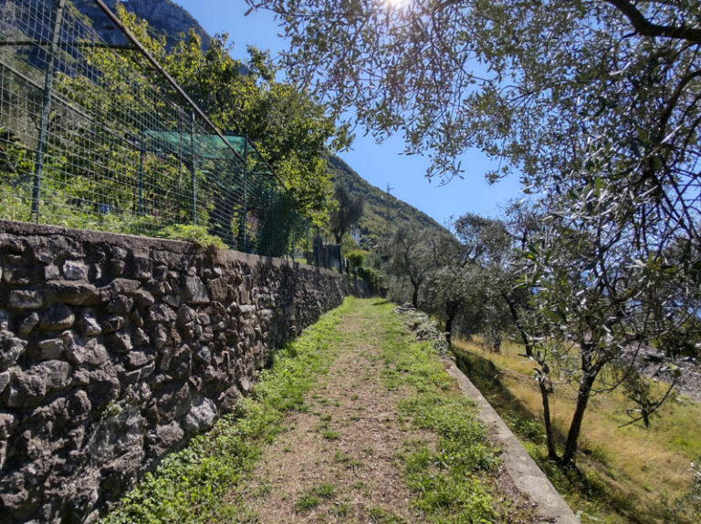 greenway dei patriarchi